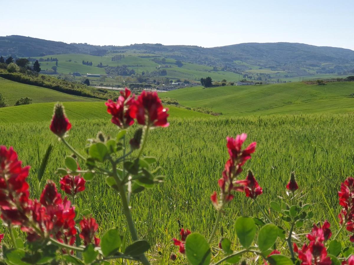 Il Giogo Agriturismo ロジニャーノ・マリッティモ エクステリア 写真