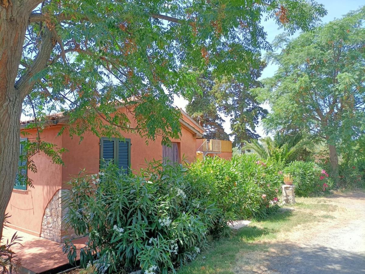 Il Giogo Agriturismo ロジニャーノ・マリッティモ エクステリア 写真
