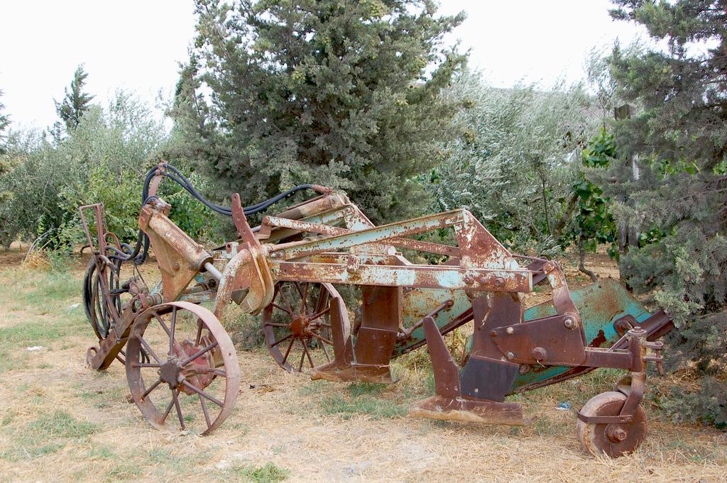 Il Giogo Agriturismo ロジニャーノ・マリッティモ エクステリア 写真