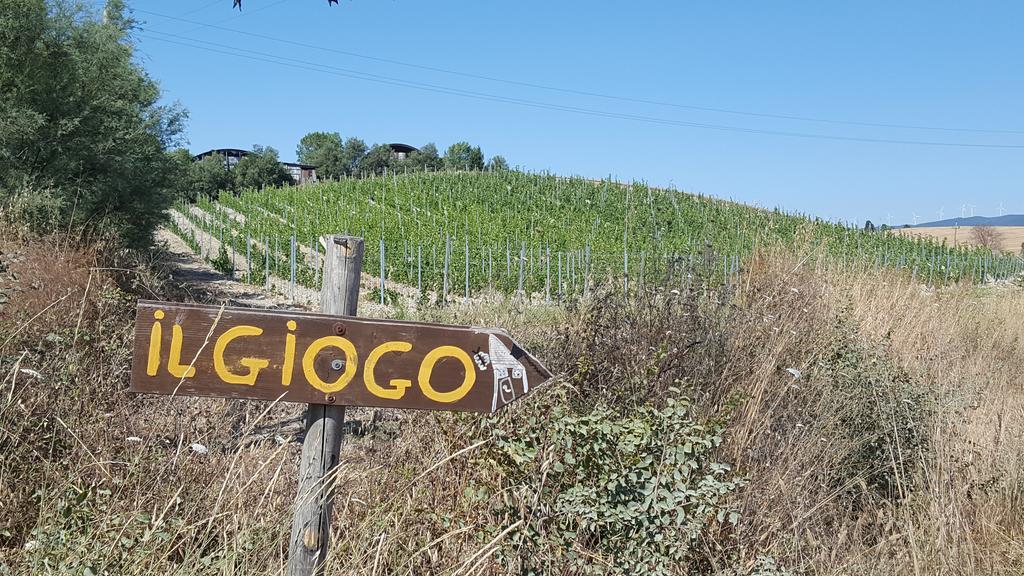 Il Giogo Agriturismo ロジニャーノ・マリッティモ エクステリア 写真