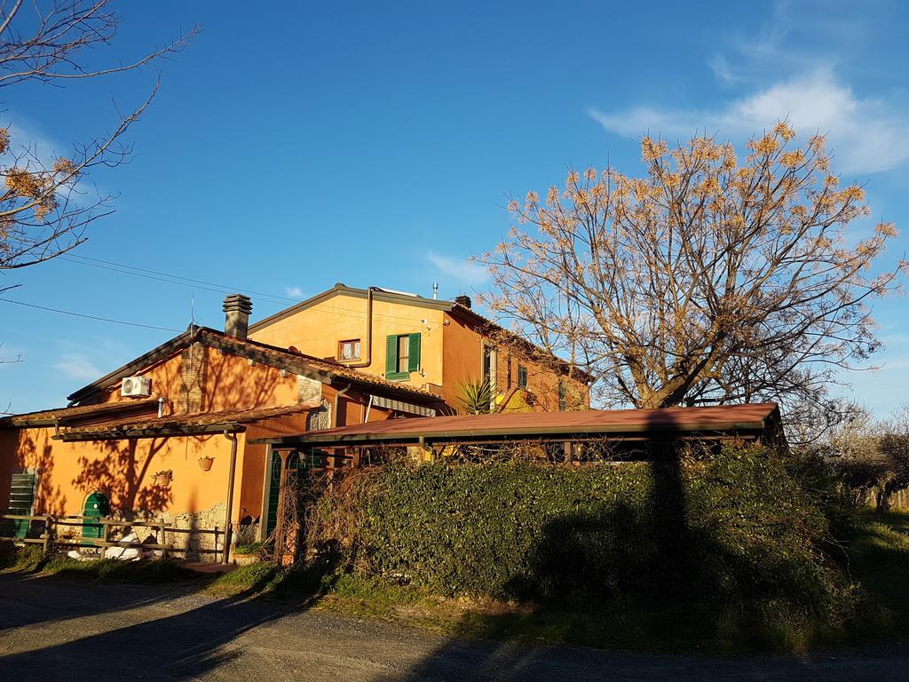 Il Giogo Agriturismo ロジニャーノ・マリッティモ エクステリア 写真
