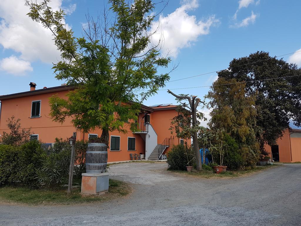 Il Giogo Agriturismo ロジニャーノ・マリッティモ エクステリア 写真